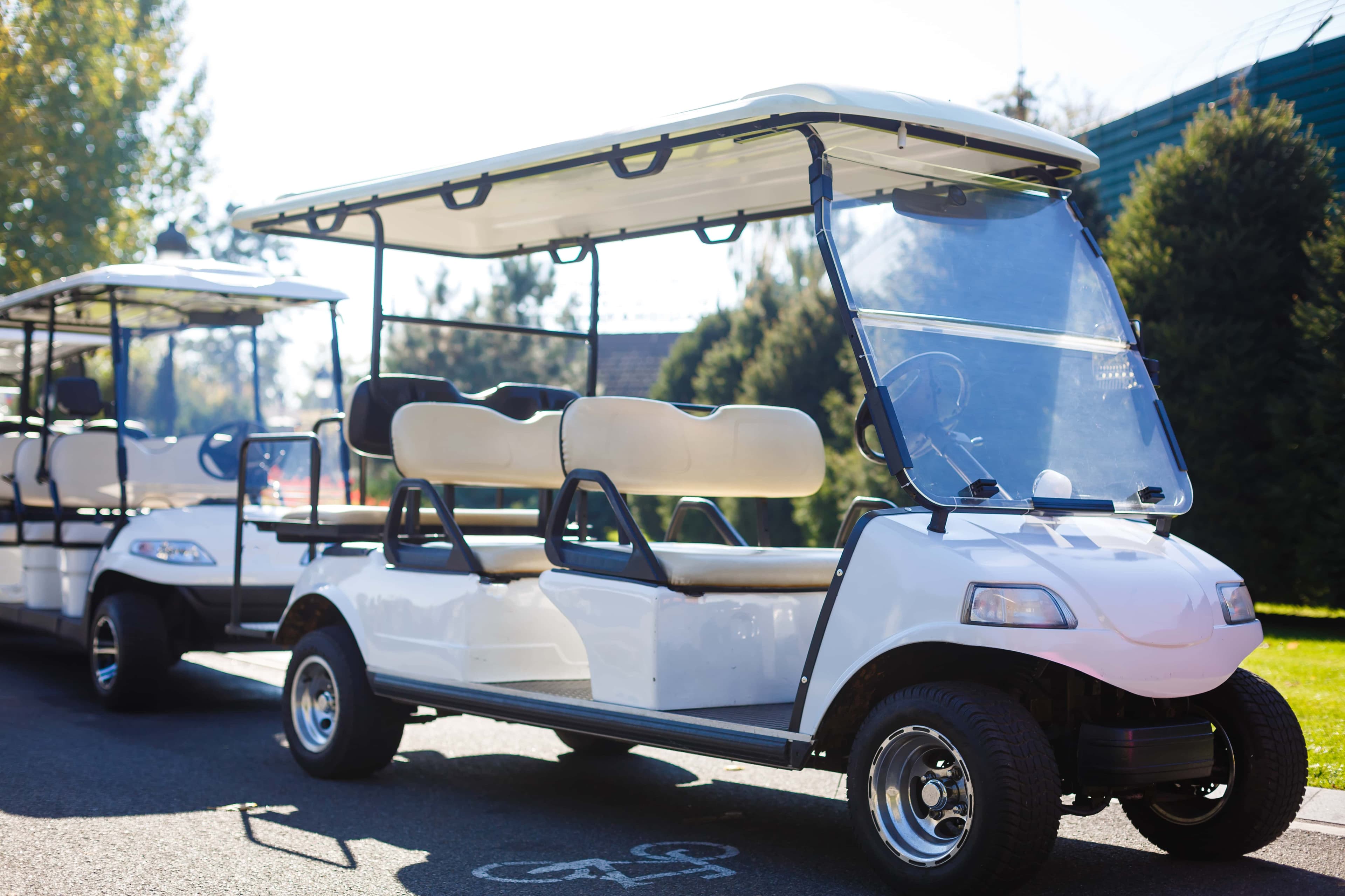 Rental Car & Golf Cart Repair